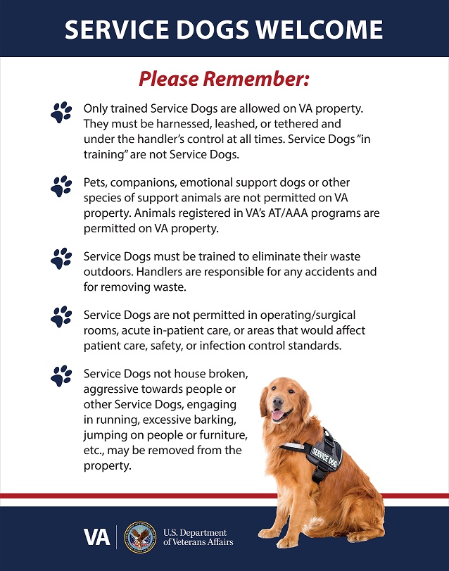 Tampa VA Service Dog Policy | VA Tampa Health Care | Veterans Affairs